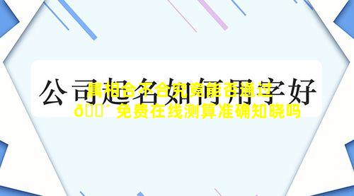 属相合不合究竟能否通过 🌴 免费在线测算准确知晓吗